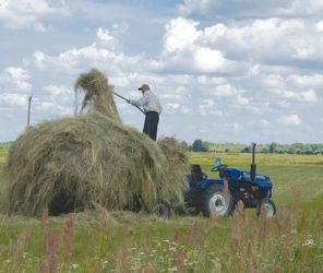 contadino anziano pensione